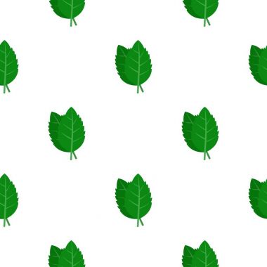 Taze yeşil fesleğen yaprakları desen düz