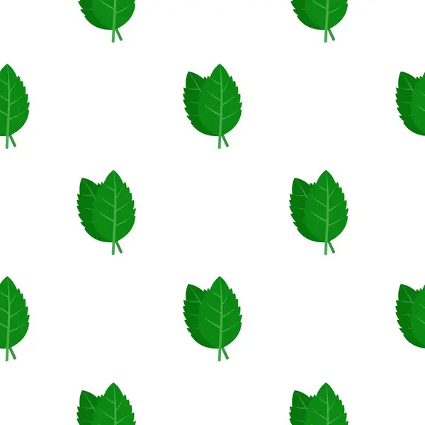 绿色的新鲜罗勒叶图案平 — 图库矢量图片