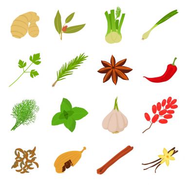 Baharat Icons set, karikatür tarzı