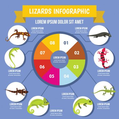 Kertenkele Infographic kavramı, düz stil