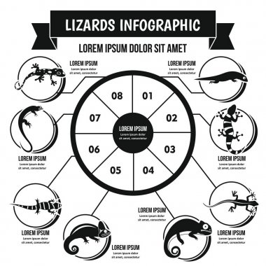 Kertenkele Infographic kavramı, basit tarzı