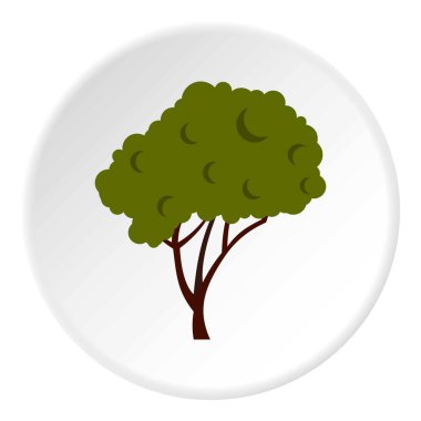 Tüylü taç simgesini daire ile ağacı