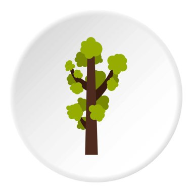 Uzun ağaç kutsal kişilerin resmi daire