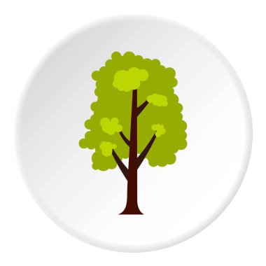 Büyük yeşil ağaç kutsal kişilerin resmi daire