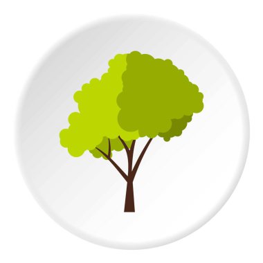 Tüylü taç simgesini daire ile yeşil ağaç