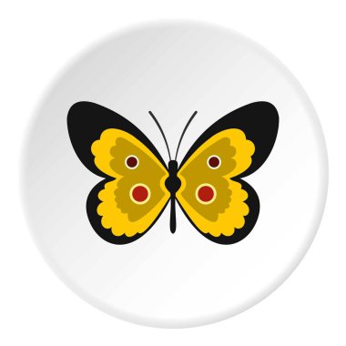 Kelebek kutsal kişilerin resmi daire