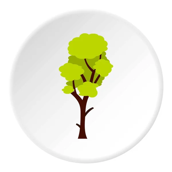 Lange groene boom pictogram cirkel — Stockvector