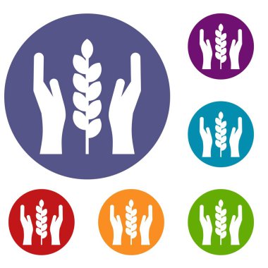 Eller ve kulak buğday simgelerin ayarlamak