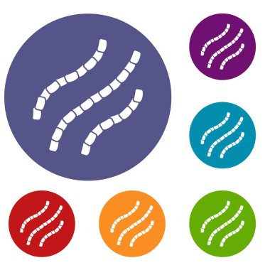 Escherichia coli Icons set