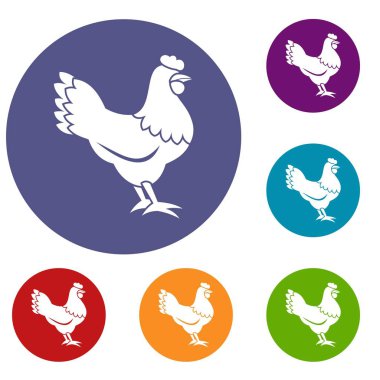 Tavuk Icons set