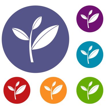 Çay yaprağı Filiz Icons set