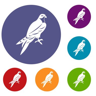 Şahin Icons set