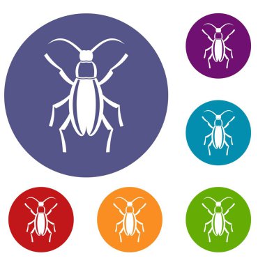 Beetle bug Icons set