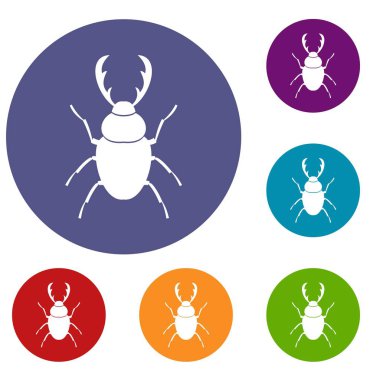Stag beetle Icons set