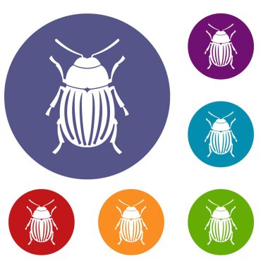 Colorado Patates böceği Icons set