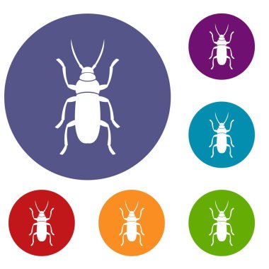 Beetle bug Icons set