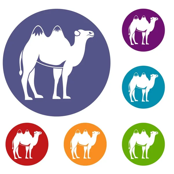Conjunto de iconos de camello — Archivo Imágenes Vectoriales