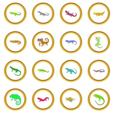 Kertenkele simgeler daire