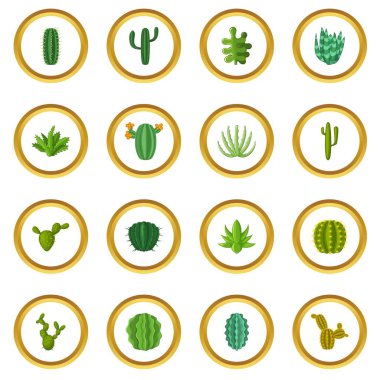 Yeşil kaktüsler simgeler daire