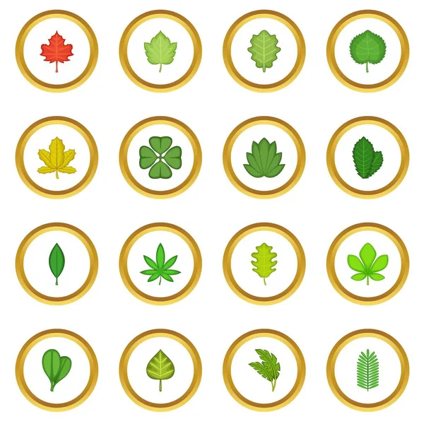 Different leafs icons circle — Stock Vector