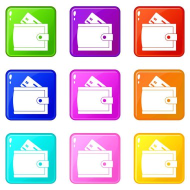 Kredi kartı ve nakit simgeleri 9 setile Cüzdan