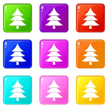 Köknar ağacı Icons 9 set