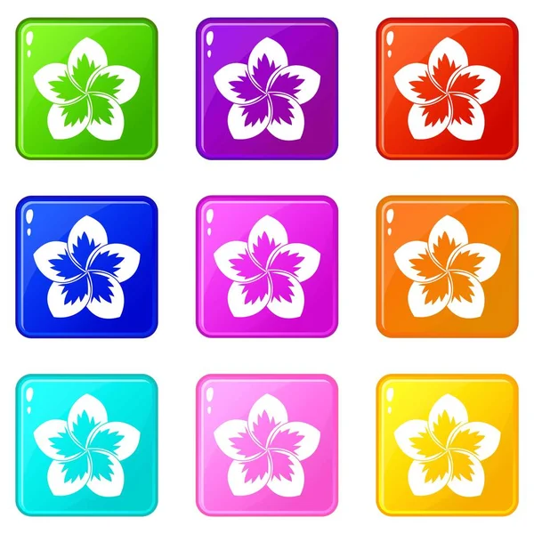 Frangipani flower icons 9 set — Stock Vector