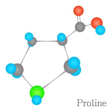 Prolin 3d molekül kimyasal bilim