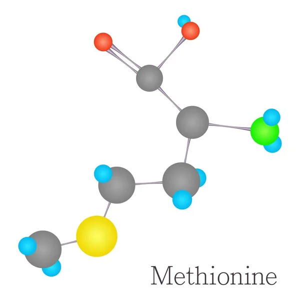 Ciência química da molécula de Metionina 3D — Vetor de Stock