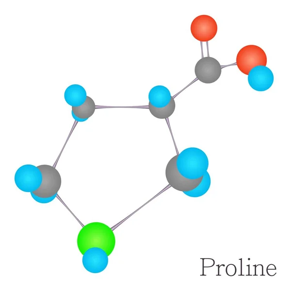 Proline 3D molecule chemical science — Stock Vector