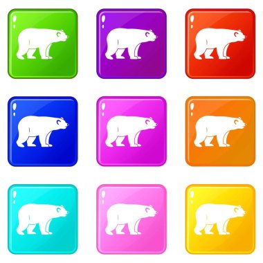 Wild bear icons 9 set