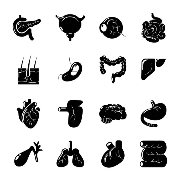 Conjunto de iconos de órganos humanos internos, estilo simple — Vector de stock
