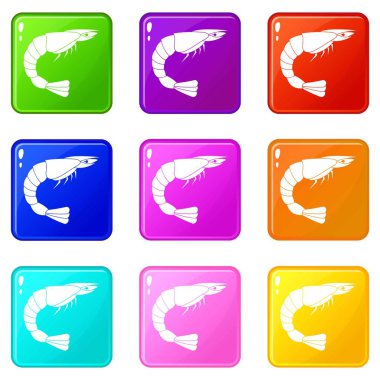 Taze deniz karides simgeler 9 ayarla