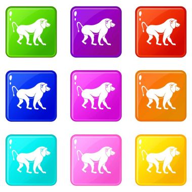 Japon makak Icons 9 set