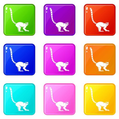 Lemur maymun Icons 9 set