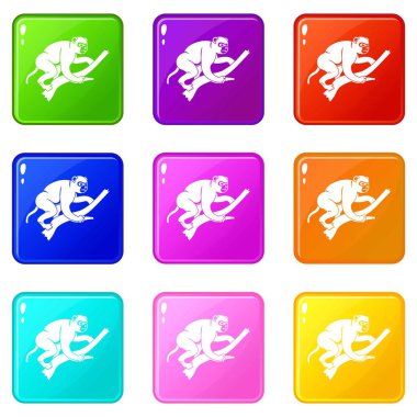 Maymun bir ağaç simgeler 9 sette tırmanıyor