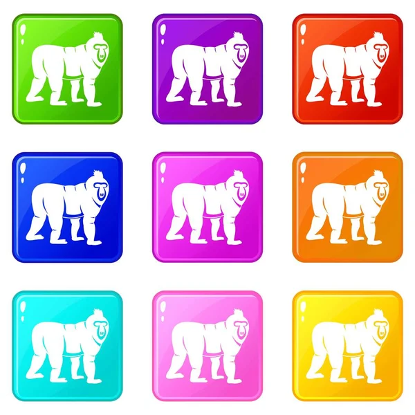 Mandrill'di maymun Icons 9 set