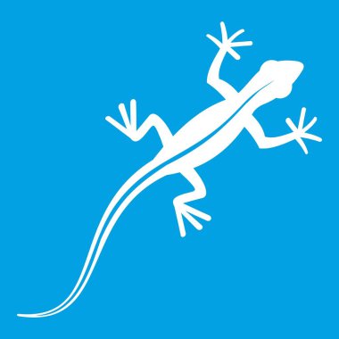 Kertenkele simgesi Beyaz