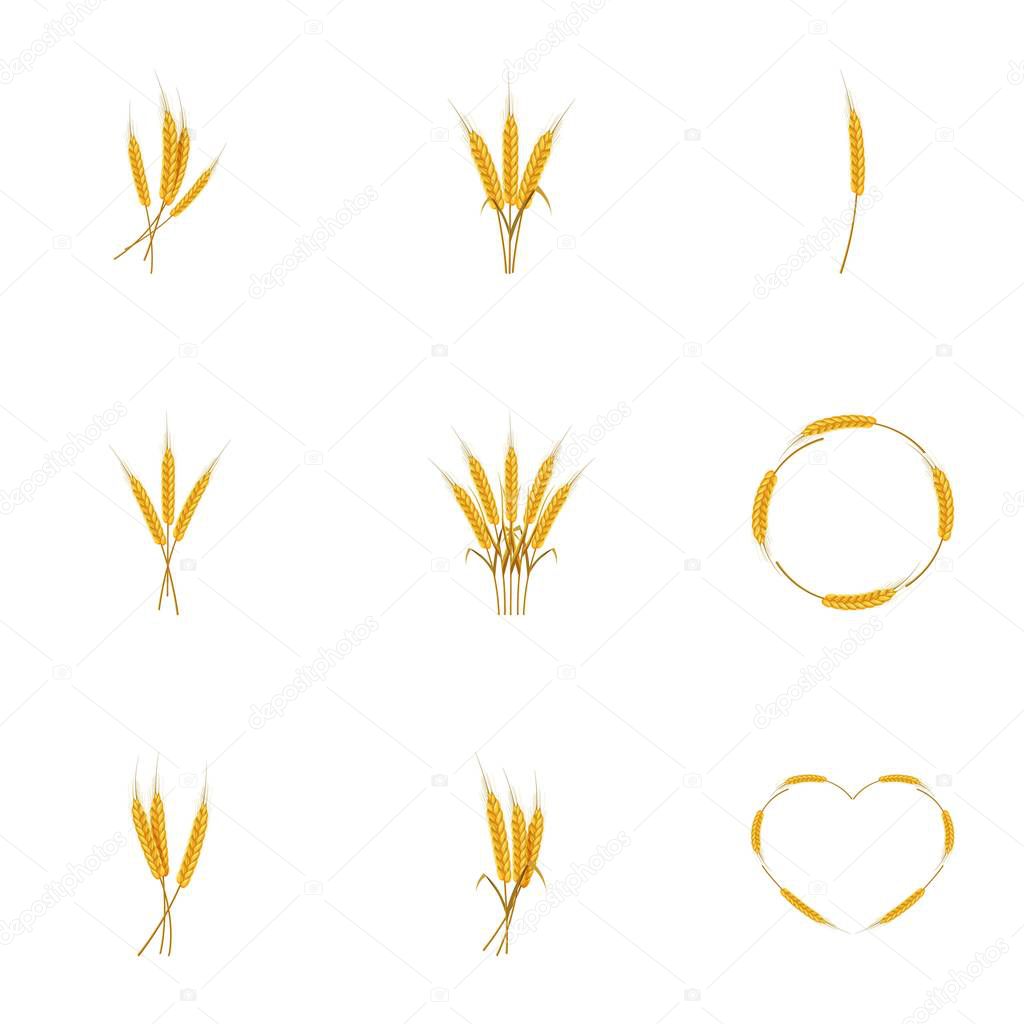 Wheat ears or rice icons set, cartoon style