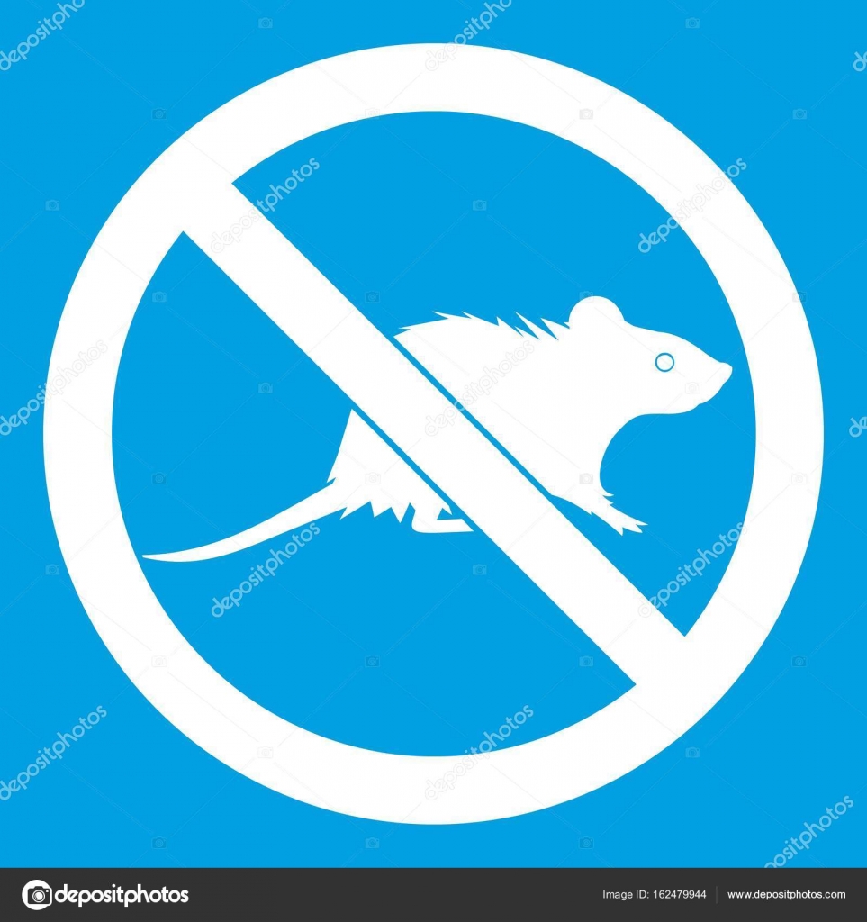No rats sign icon white Stock Vector Image by ©ylivdesign #162479944