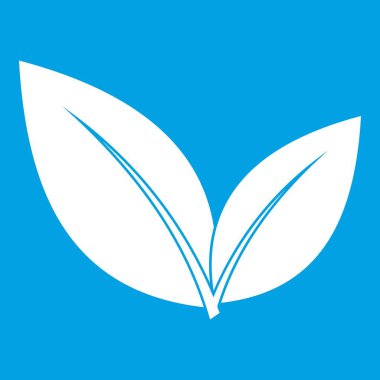 Yaprak simgesi Beyaz