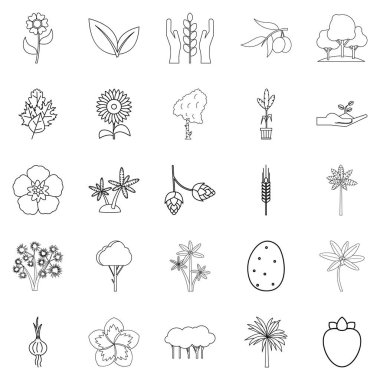 Verim Icons set, anahat stili