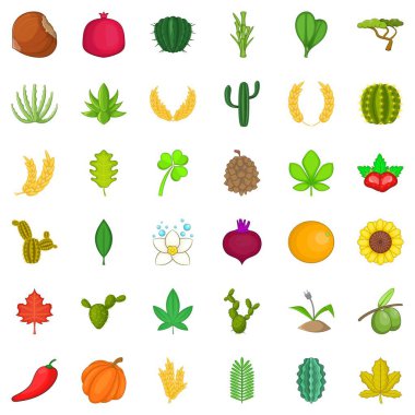 Botanik Icons set, karikatür tarzı