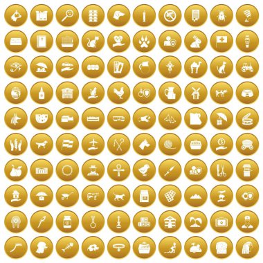 Altın 100 evcil hayvan Icons set