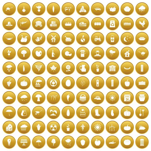 100 pompoen iconen instellen goud — Stockvector