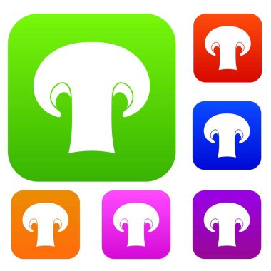 Champignon mantar toplama kümesi