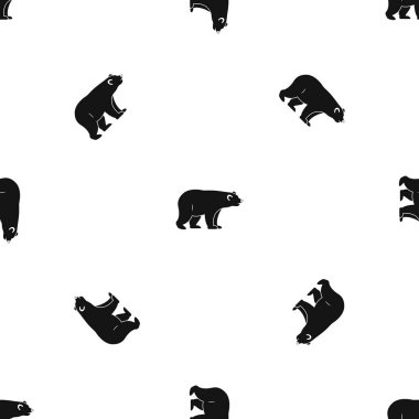 Vahşi ayı model sorunsuz siyah