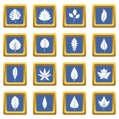 Simgeleri mavi ayarla bitki yaprakları