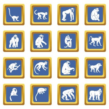 Mavi maymun türleri Icons set
