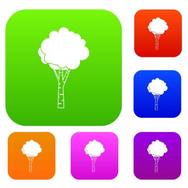 Huş koleksiyonu ayarla